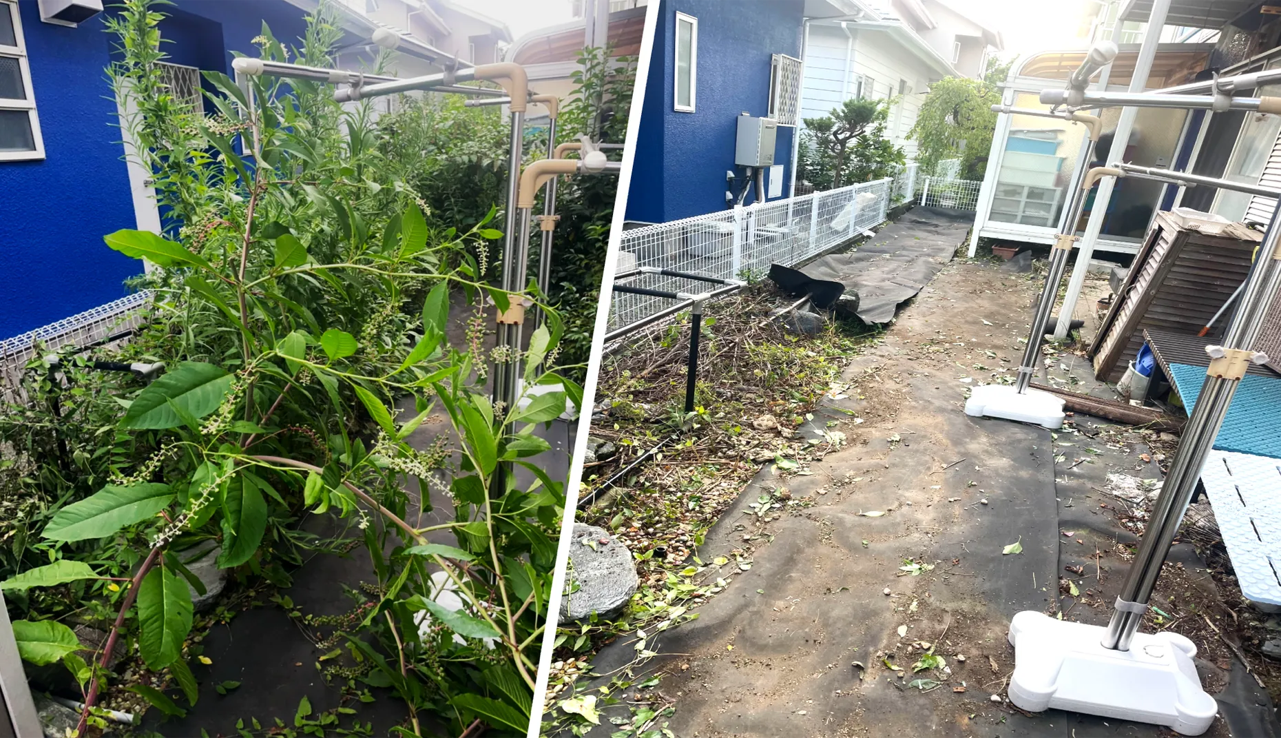 草むしり（手作業）の作業前と作業後